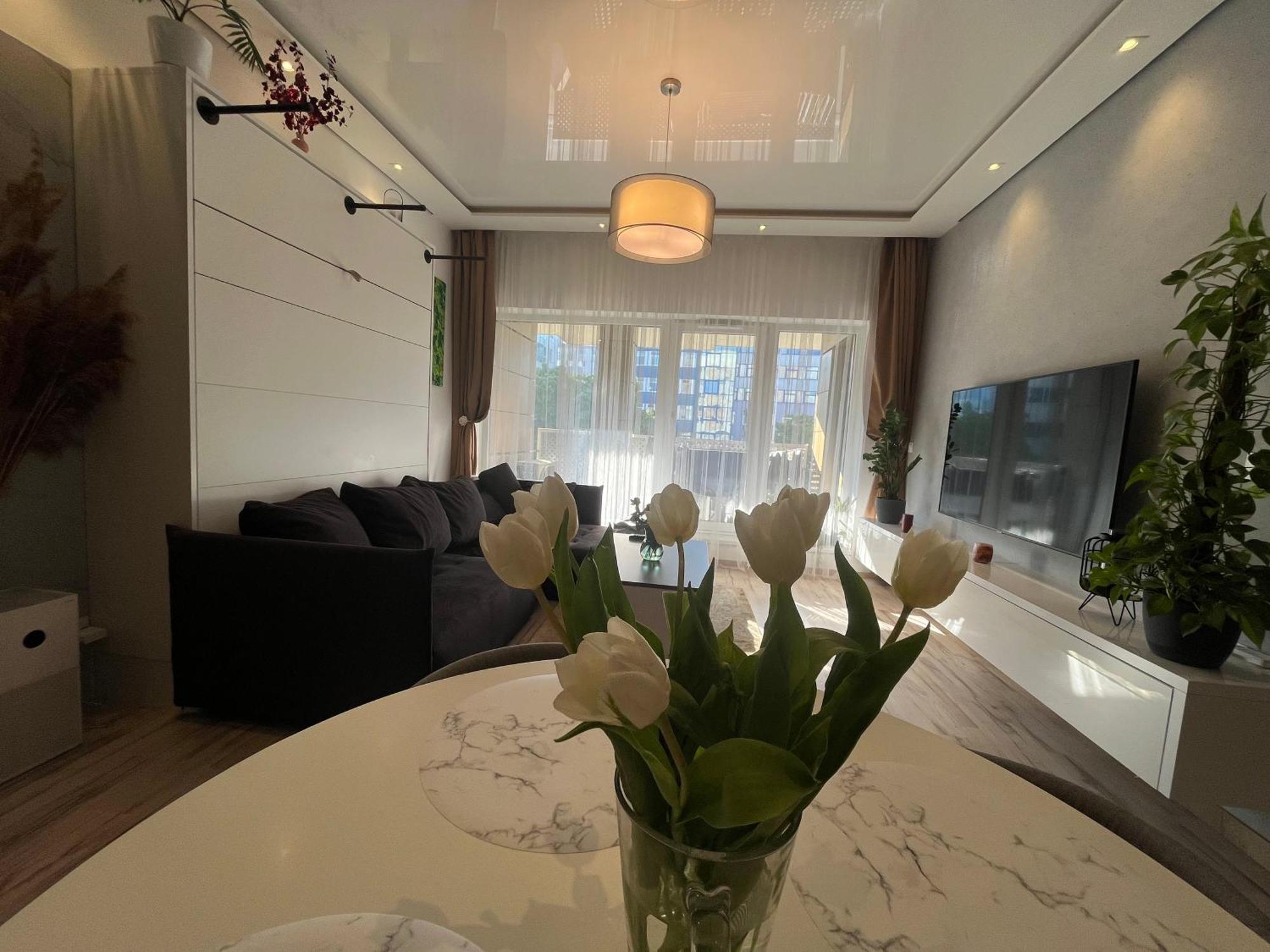 Cozy Apartment 布拉迪斯拉发 外观 照片