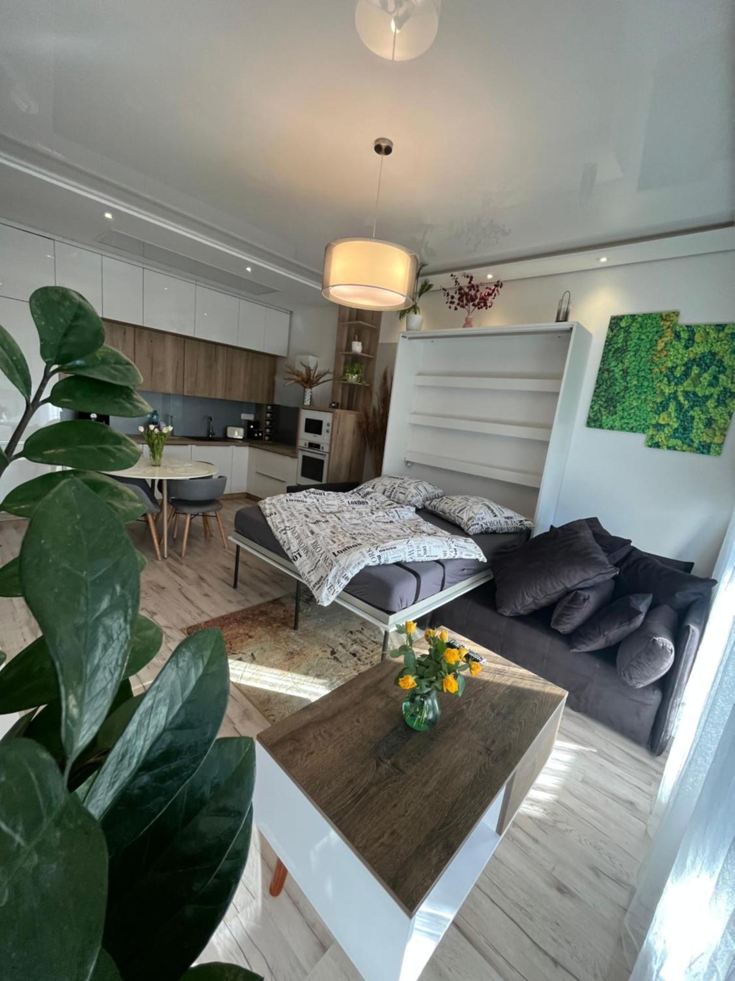 Cozy Apartment 布拉迪斯拉发 外观 照片