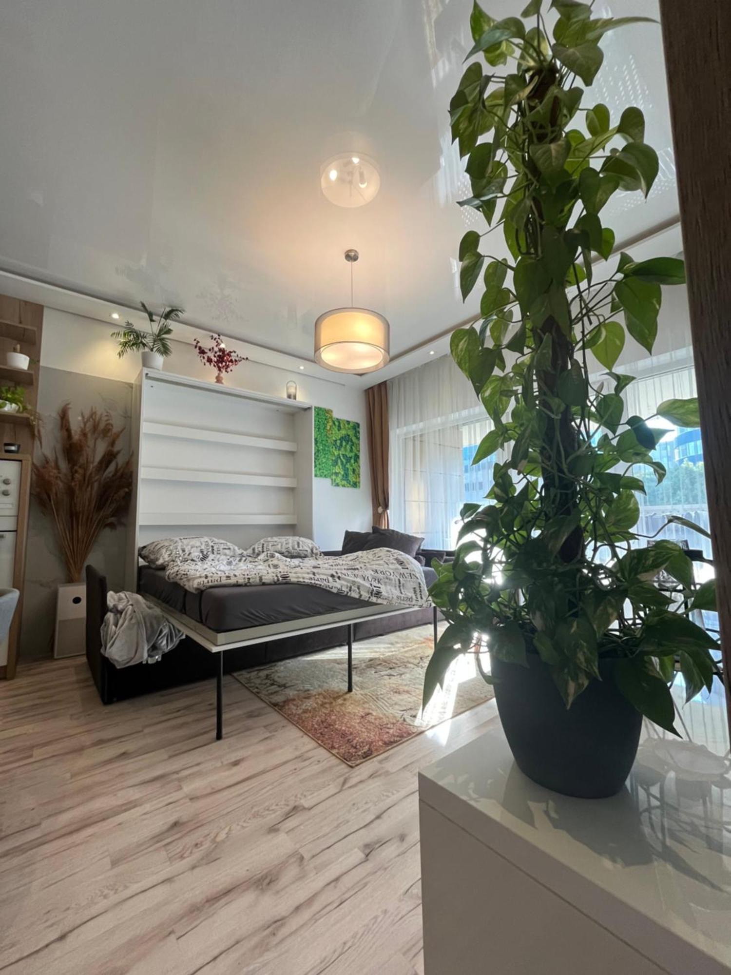 Cozy Apartment 布拉迪斯拉发 外观 照片